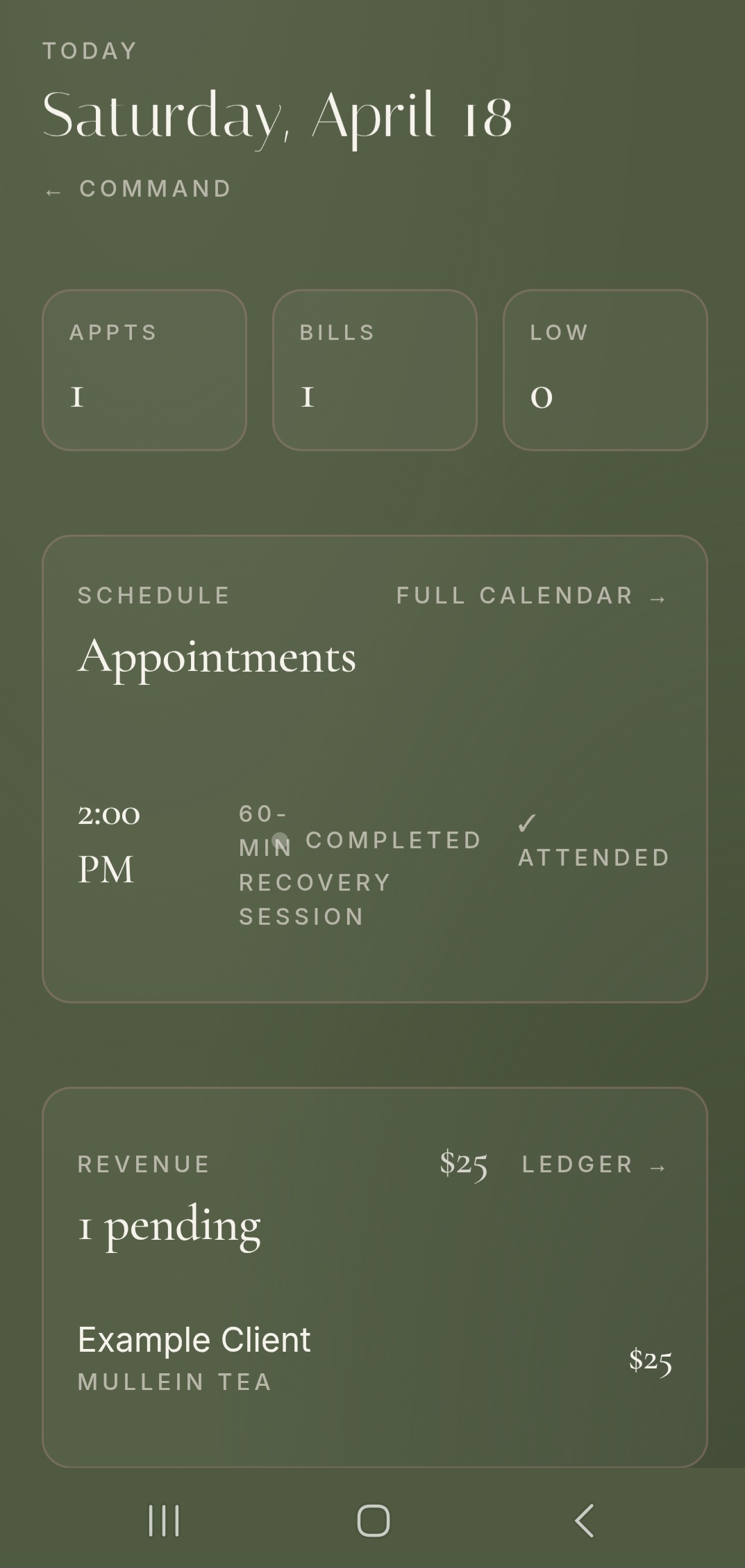 CIRA today view showing appointments, bills, revenue