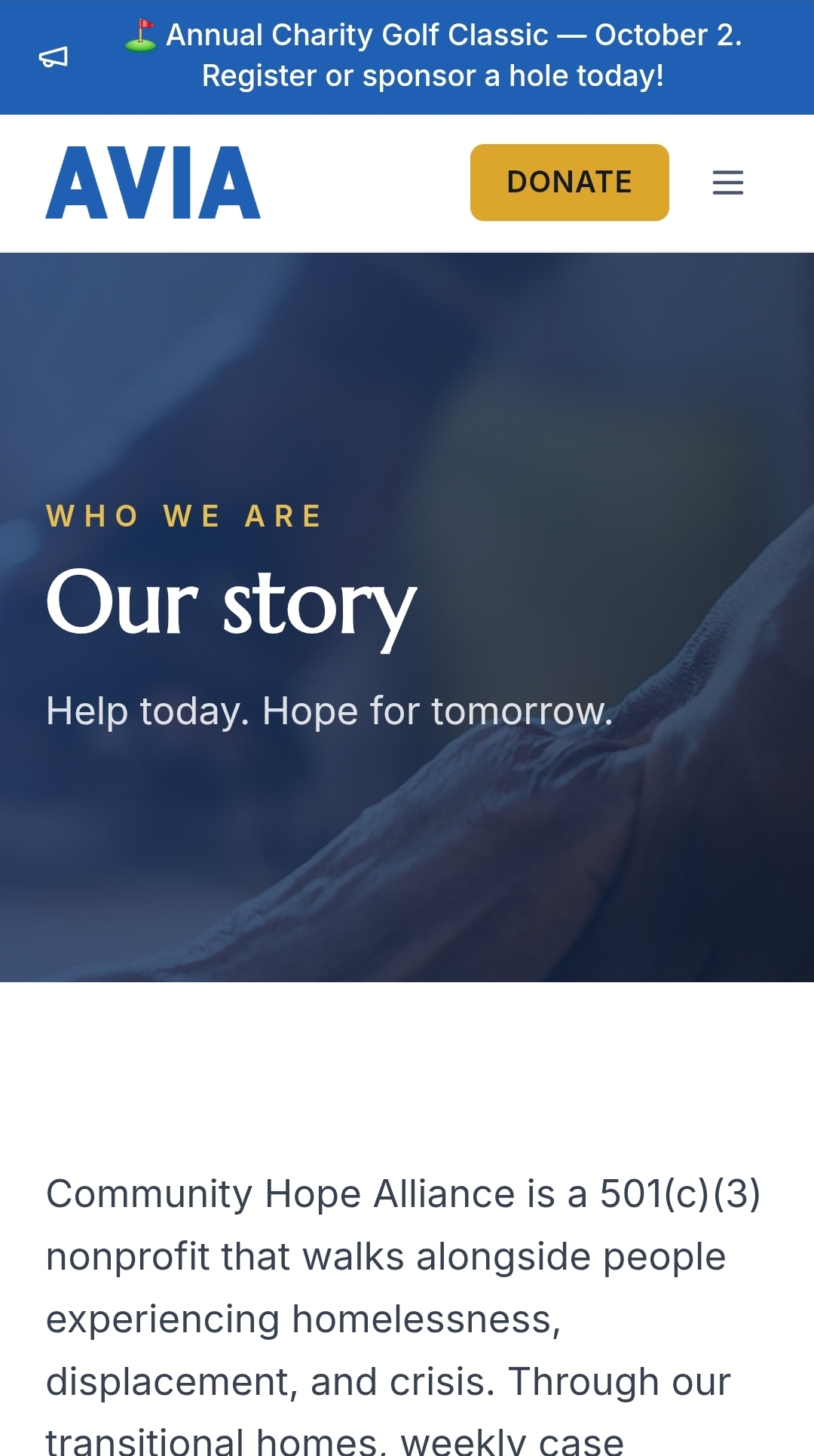 A public mission page describing the nonprofit's areas of assistance and its vision