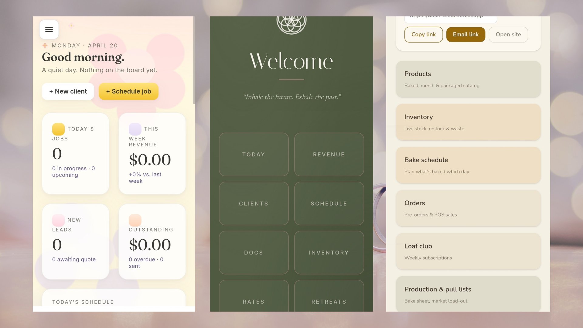 A single custom dashboard shown across three screens: today's jobs and revenue, a branded welcome menu, and products, inventory, and orders
